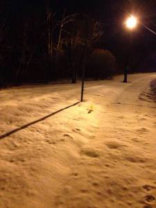 12645207_10153756035100272_8887537739747425734_n