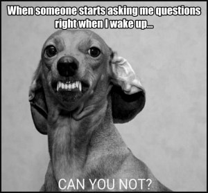 0d6fba54c423e722f9f3f9ec2fe3b365