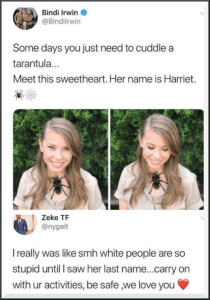 bindi-irwin-o-bindilrwin-some-days-you-just-need-to-33232847